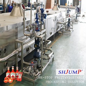 [Hot Item] Automatic Tomato Paste Making Machine/Tomato Processing Equipments