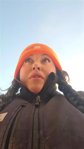 Exploding Trees in Winter Weather Conditions