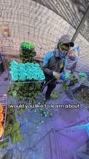 Would you like to learn about floral coating formulations？