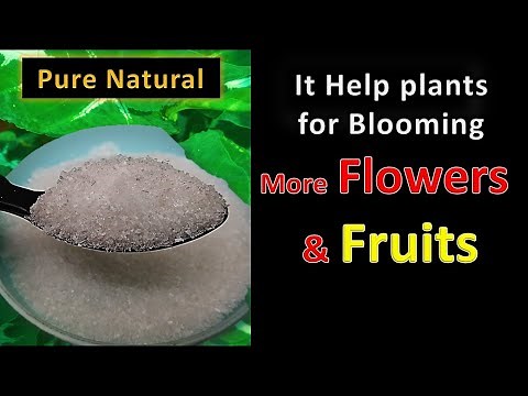 Epsom Salt for plants , Meaning and How to use