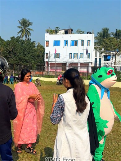 Hilarious Frog Moments That Will Make You Laugh