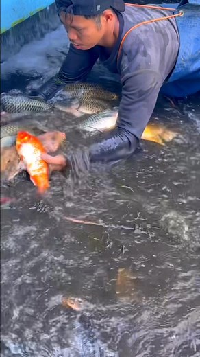 When he pulled the spill gate👀🐟🐟 | Jacovtv