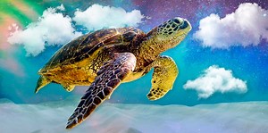 Turtle Symbolism & The Spiritual Meanings Of Seeing A Turtle