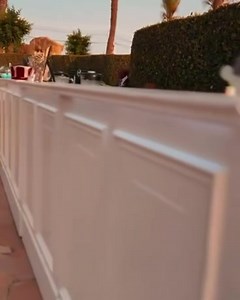 **Today's Cocktail Bar Classic Setup** Welcome to our elegant cocktail bar, a centerpiece of today's celebration. Our bartenders are ready to craft a selection of classic and contemporary cocktails tailored to delight your palate. Whether you're in the mood for a timeless Martini, a refreshing Mojito, or something with a modern twist, we have the perfect drink to elevate your experience. Raise a glass and toast to love, laughter, and happily ever after. Cheers! | Kombi BAR