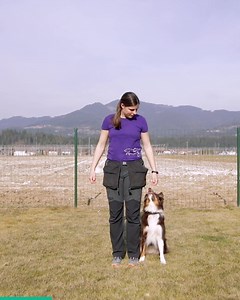 3.2K views · 999 reactions |  Obedience Specific Warm-Up Cool-Down...