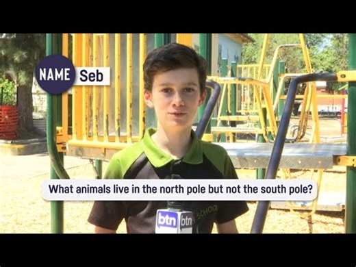 Animals That Live in The North Pole - But Not The South Pole