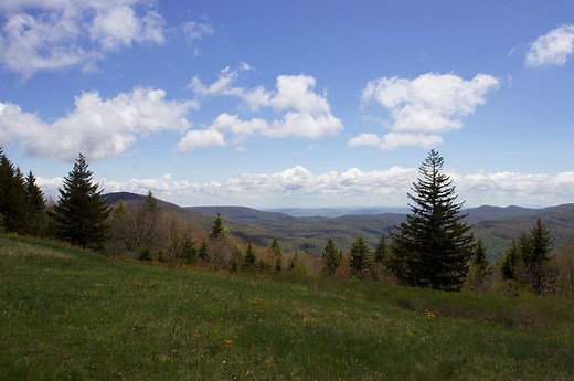 The Cranberry Wilderness in West Virginia Might Be One of the Most Peaceful Places in the U.S.—and It Has Stunning Fall Foliage