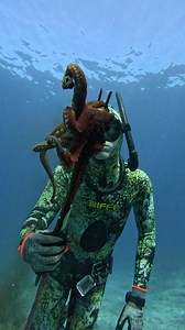 44K views · 699 reactions | Easy Way to Catch Octopus! #fishing #spearfishing | Ryan Myers Spearfishing | Facebook
