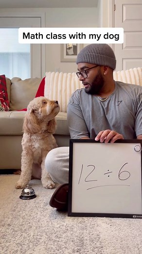 Math Class with Luna the Math Dog