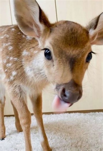 Part 12| our friendship will never be the same again ||#fypシ゚viral#fyppppppppppppppppppppppp#viral#katseye#exbestfriend