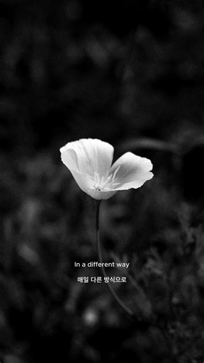 [ 익숙하지 않기 ] 2 #kpop #감성발라드 #emotional #music #playlist #for you #fyp #사랑노래 #국내발라드모음 #lovesong