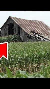 (Full Part) Woman Inherited the Old Barn But Shocked When She Visited