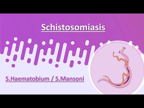 Schistosomiasis ( S.Haematobium - S.Mansoni )