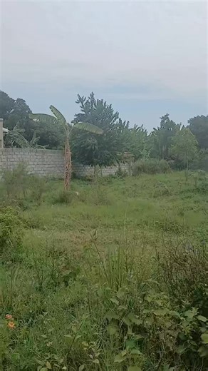 11 decimals land for sale location garuga Entebbe road price:75 million ugx call 0775752739 on 0757752739