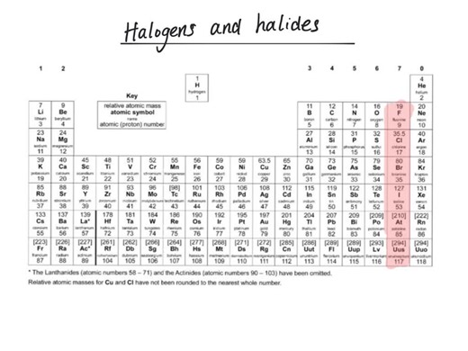 Dr Stan Fowler on TikTok