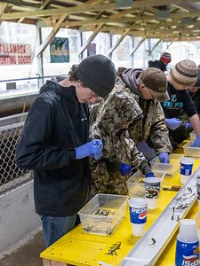 Tillamook Anglers Whiskey Creek Hatchery Annual Fin Clipping Returns! VIDEO