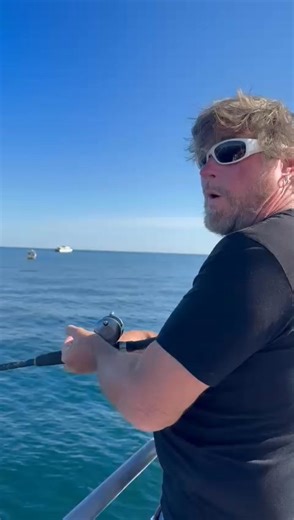 Get out of bed! | Ocean Explorer