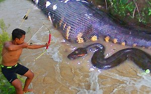 原始小孩的技术—用鱼叉捕捞大蛇, 突然惊人的一幕出现 !