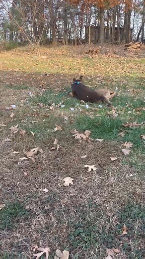 Eric Morales on Reels