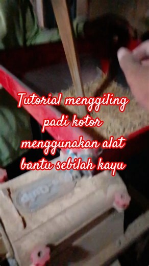 tutorial menggiling padi kotor menggunakan bantuan sebilah kayu ( @kampungtaniofficial )