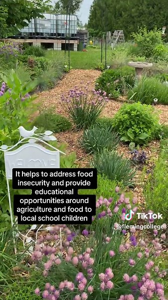 DYK the Edwin Binney Community Garden offers incredible opportunities to students at Fleming’s Frost Campus? #communitygarden #sustainable #flemingcollege #handsonlearning