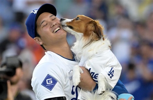 Dodgers News: Decoy Wins 'Most Valuable Dog' Award