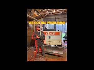 Bobcat 331 mini ex needs serious repairs Part 1