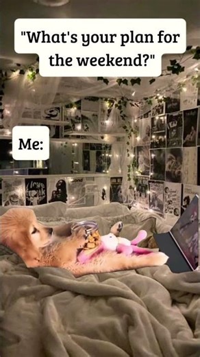 plans be like;✨. #prisma3d #trending #truedialogue #rinkujha#alookhaoge