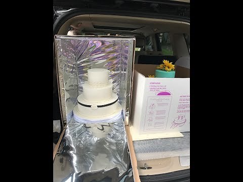 Cool Cake Delivery Box