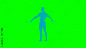 4k human body green screen technology video. human body technology video, human body 360 turn, human body wireframe video