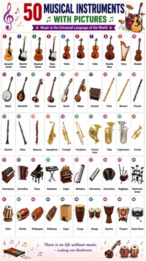 50 Musical Instruments with Pictures Learn Instrument Names in English | Educational Chart for Kids