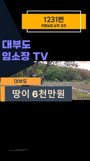 [No. 1231] The most realistic way to own 'your own land' on Daebudo for 60 million won! (Weekend ...