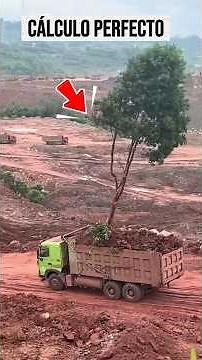 ¿Por qué este camión transporta un árbol de pie? 🌲🚜