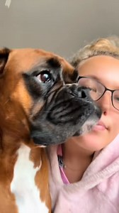 Trunks the Boxer on Reels