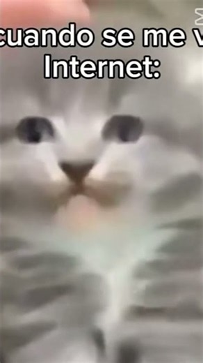 dame UN ABRAZO- AAAA AAAA AAAA AAAA AAAA aaaah AA AAA AA AAA aaaaaaAAAAAAA #memes jsjajajaj