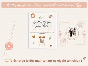 Homemade Dog Recipes - Downloadable PDF - Healthy Meal Ideas, Biscuits & Treats for Dogs. - Etsy Australia