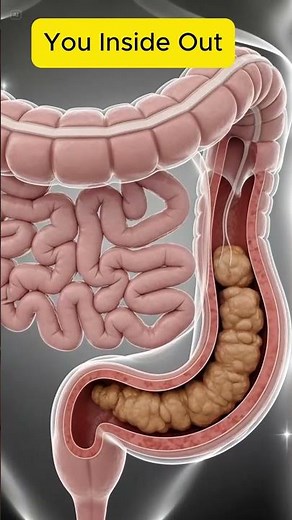 Constipation Explained | Gut Health & Digestion