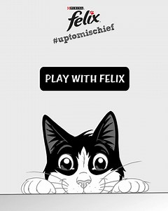 Get Felix in your phone 😸📲 #uptomischief 🐾 🐾 (About: http://bit.ly/AboutFelix) | Cats Like Felix