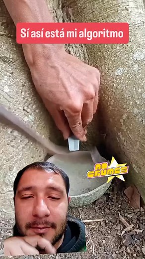 2.9K views · 24 reactions | Cómo está tu algoritmo | labuenavibra | Facebook