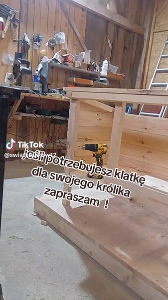 Klatki dla Królików: Wybór i Porady