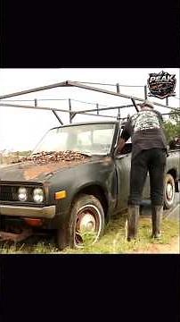 Reviving a lost 1977 Datsun Truck Swallowed by Texas Jungle... #foryou #fyp #restoration #revival