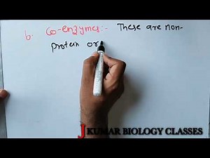 CONJUGATE ENZYME | HOLOENZYME | APOENZYME | CO-FACTOR |INORGANIC GROUP | PROSTHETIC GROUP | CONJUGAT