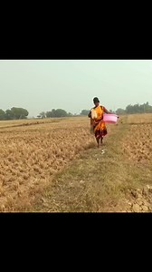 Amazing Village Women Fishing in Village Lake #fishing #village #villagelife #reels #viral | Village Women fishing Channel