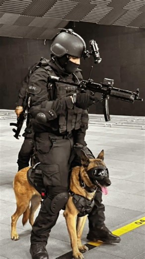 #SPG COMMANDO STATUS SONG VIDEO INDIAN ARMY COMMANDO TRAINING STATUS #@(#@##)