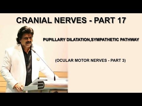 CRANIAL NERVES - PART 17, PUPILLARY DILATATION, SYMPATHETIC PATHWAY ( OCULAR MOTOR NERVES -PART 3)