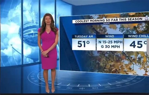 Julie Durda on Instagram: "Hellooooo my friends!!! Get ready for the wind chill temperatures in the 40s!!!🥶🥶🥶🥶@WPLGLocal10 @Local10Weather @CityofWeston @FtLauderdaleMag"