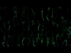 Club Visuals 733 - Animated motion background loop