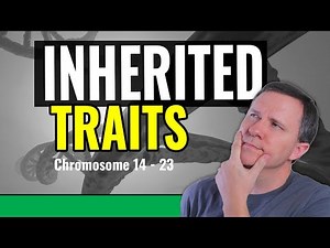 Genetics Explains: What Traits Are On Your 23 Chromosome Pairs? Chromosome 14-23