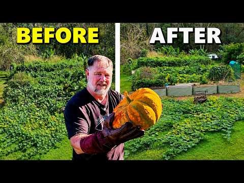 THIS Crop Took OVER My Garden - Here's What I'm Planting Next