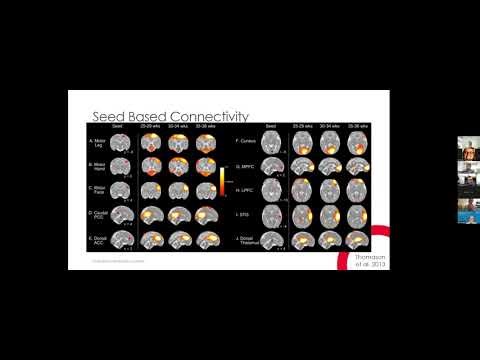 Studying Brain Function in Fetuses, Newborns and Infants. With Dr. Arichi, Smyser, Cook